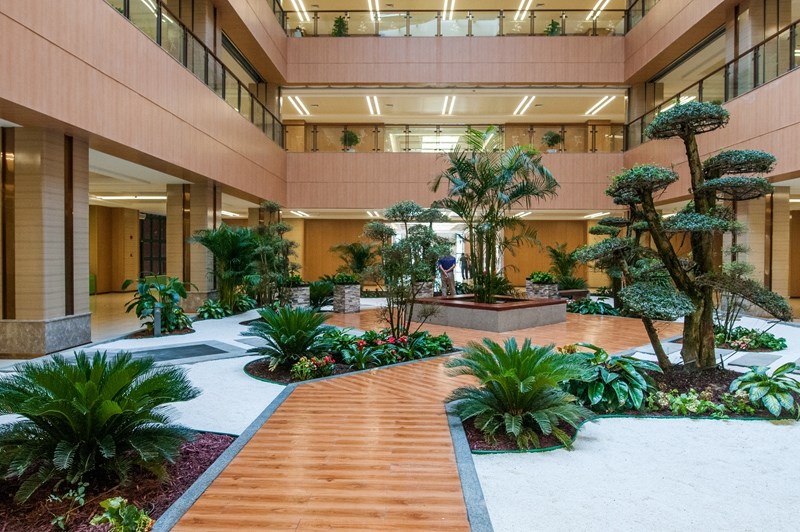 濰坊市中醫(yī)院東院區(qū)景觀綠化工程